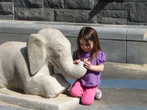 Mattie and the Elephant
